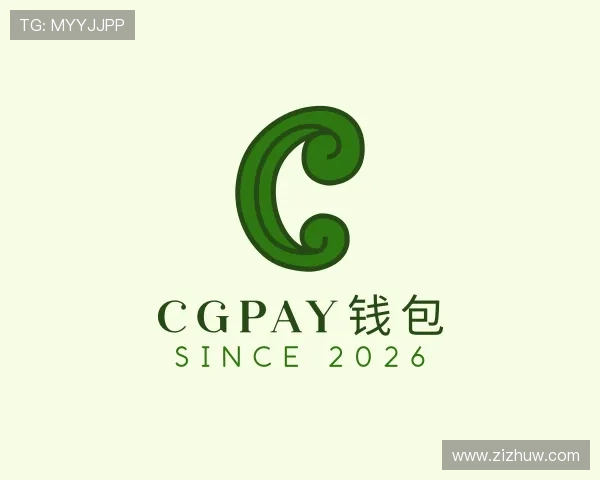 认识CGPay